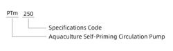 Центробежный насос серии PTm , Shimge