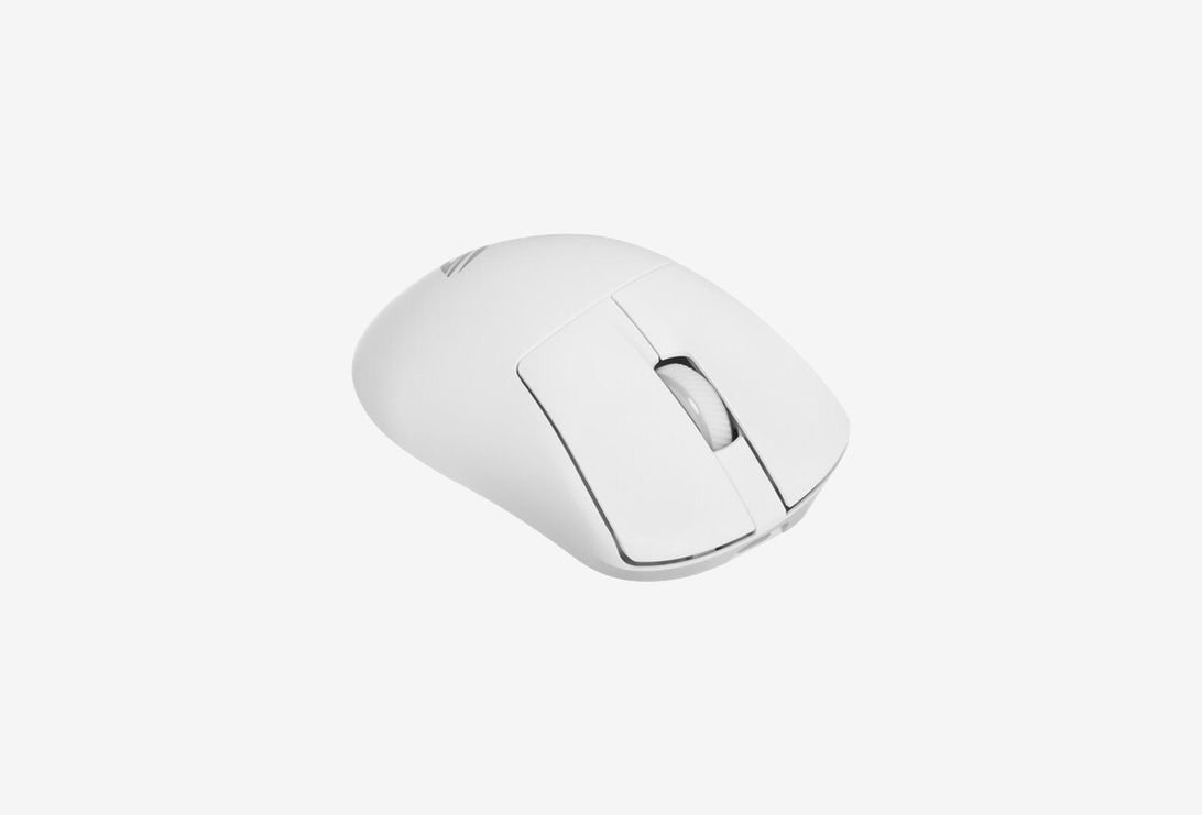 1000835240_0326326101041