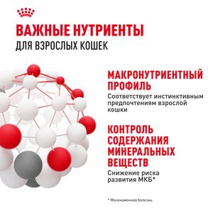 Пауч Royal Canin Instinctive для взрослых кошек, мелкие кусочки в соусе