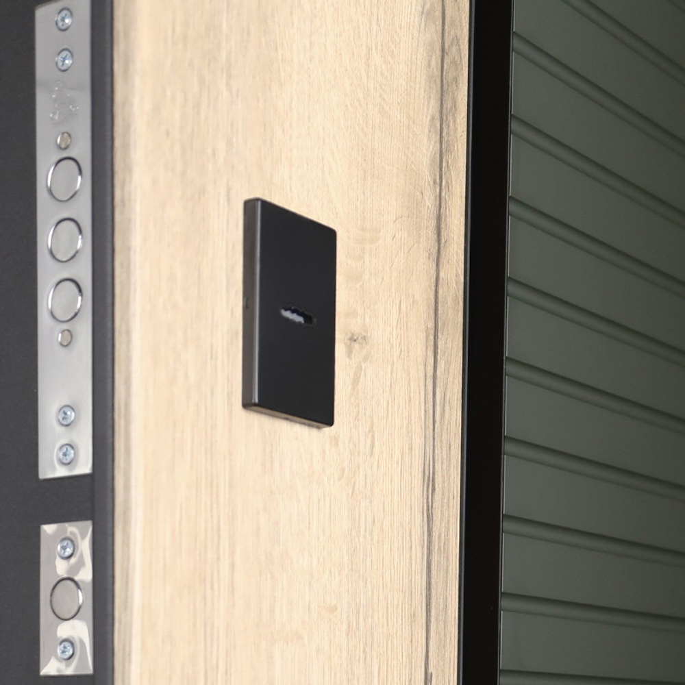 Стальная дверь "Ferrum" от дизайнеров