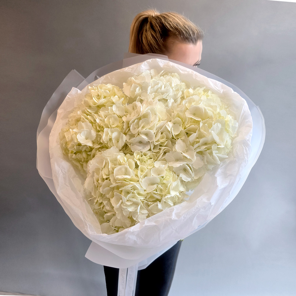 Моно букет из гортензии M