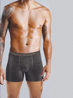 Классические боксеры