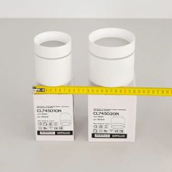 Citilux Борн CL745010N LED Светильник накладной Белый