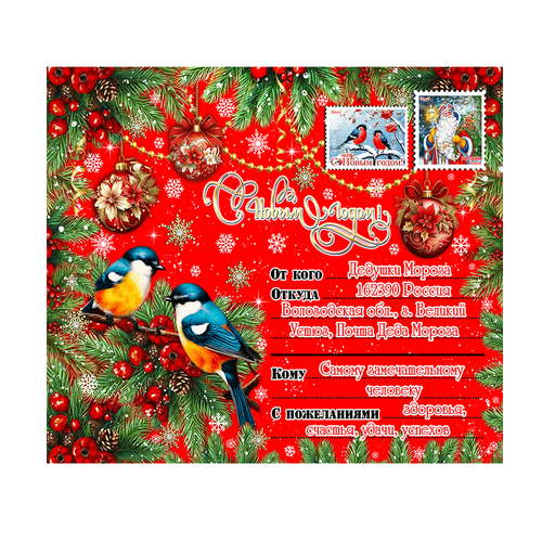 ПОСЫЛКА ОТ ДЕДА МОРОЗА ПТИЦЫ 800г ФАНЕРА