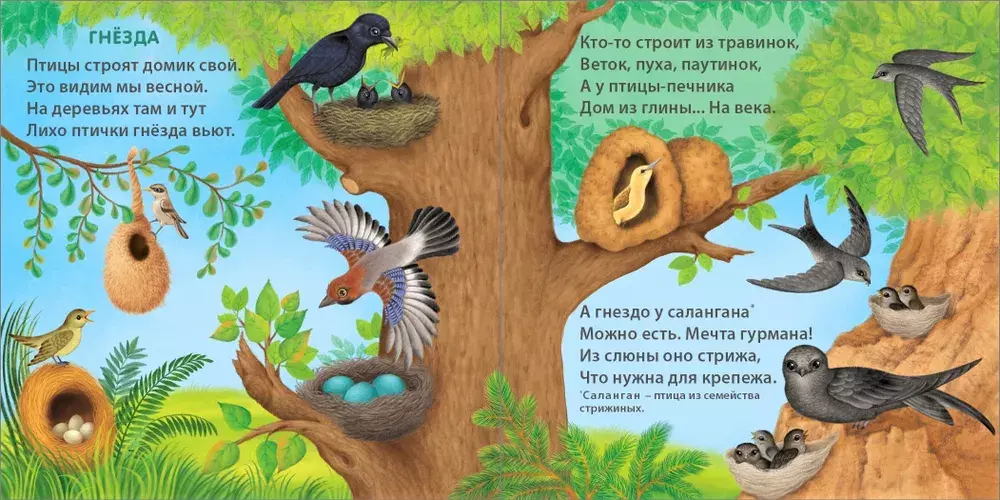 Книжки - картонки (бол). Удивительные дома животных