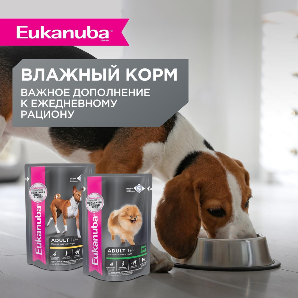 Сухой корм Eukanuba Adult Small Breed 1+ years для взрослых собак мелких пород с курицей 3 кг