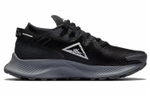 Кроссовки Nike Pegasus Trail 2 (Женская размерная сетка)