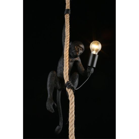 Светильник подвесной APL.309.16.01