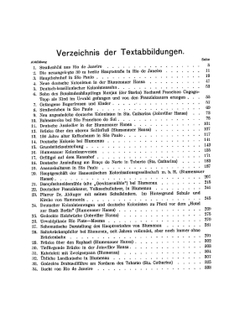 Brasilien und die Deutsch-Brasilianische Kolonie Blumenau | Ph. Wettstein