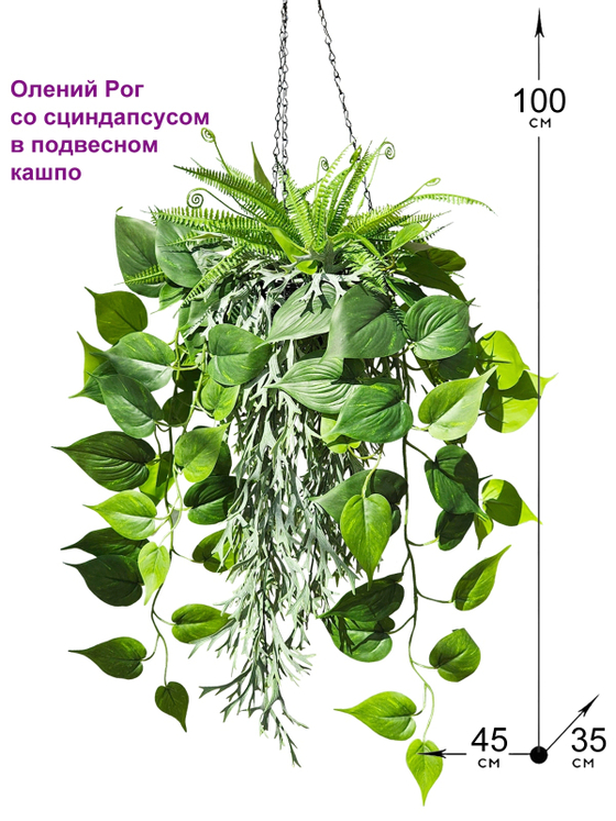 Искусственные растения Олений Рог и Сциндапсус в подвесном кашпо