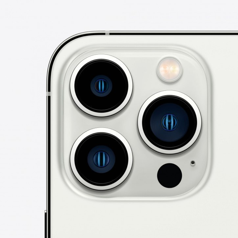 Смартфон Apple iPhone 13 Pro 256Gb Silver