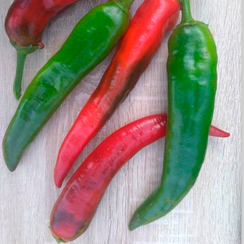 Блейд F1 семена перца острого (Sakata / Саката)