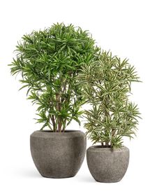 Кашпо TREEZ Effectory Volcano