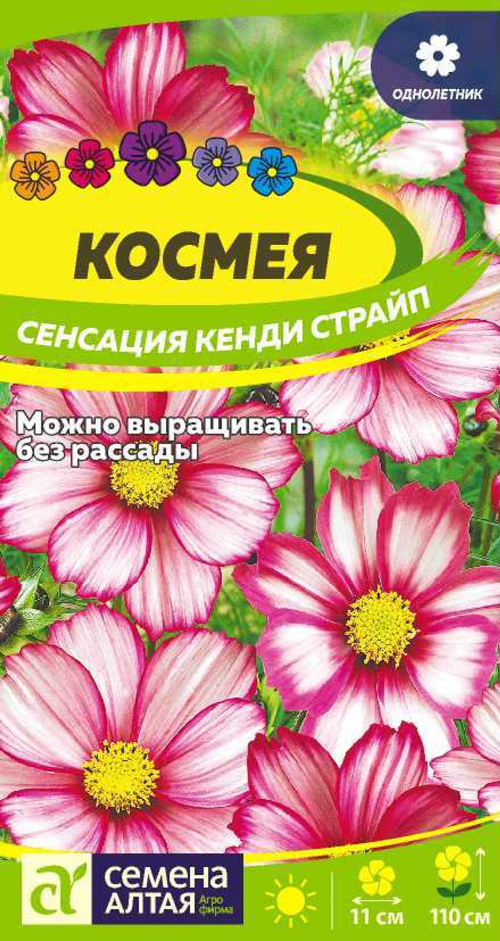 Космея Сенсация Кенди Страйп 0,3 гр (Семена Алтая)