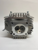 Головка блока цилиндров ( ГБЦ ) в сборе двигатель 162 FML-2 W190