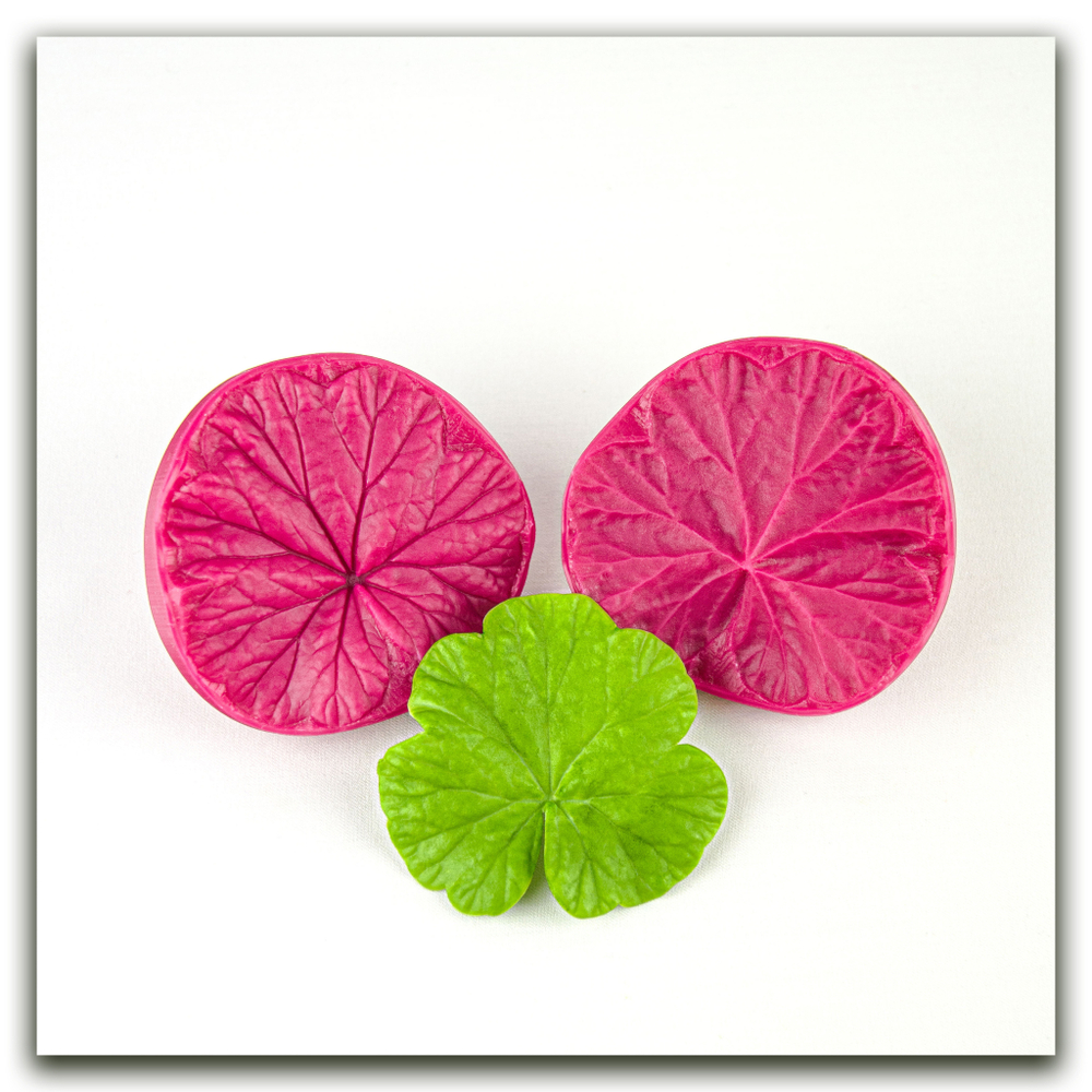 Листья пеларгонии крупные (герани)