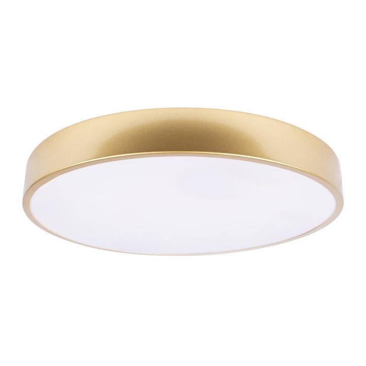 Потолочный светодиодный светильник Loft IT Flims 10228/A