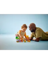 Конструктор DUPLO 10457 День рождения Винни-Пуха