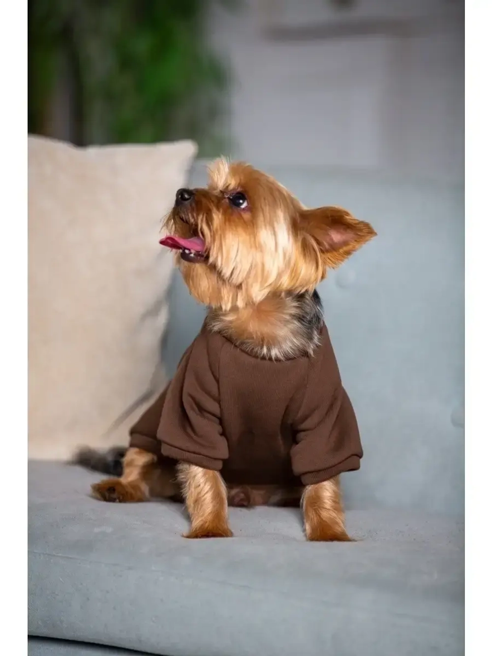 Толстовка худи кофта свитер для собак кошек и  животных