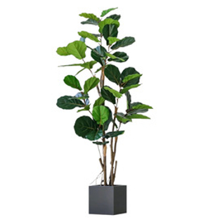 Искусственные деревья