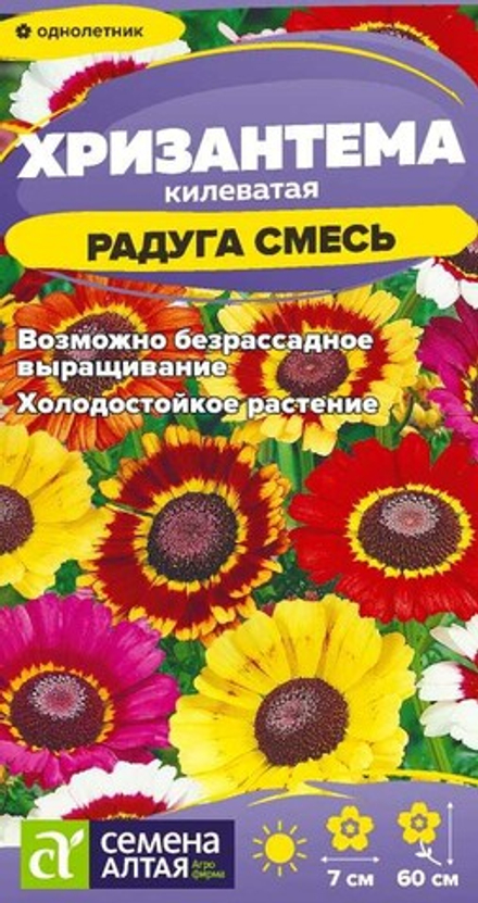 Хризантема Радуга килеватая 0,1г Семена Алтая - многолетник