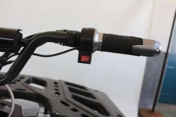 Электроквадроцикл Green Camel Атакама T240 (48V 1000W R8 Дифференциал) пониженная