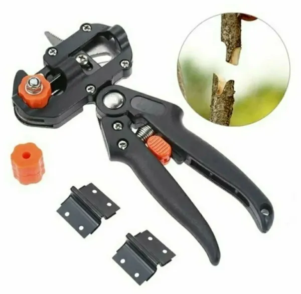 Инструмент для прививки: секрет успеха в ваших руках Инструмент для прививки: секрет успеха в ваших руках