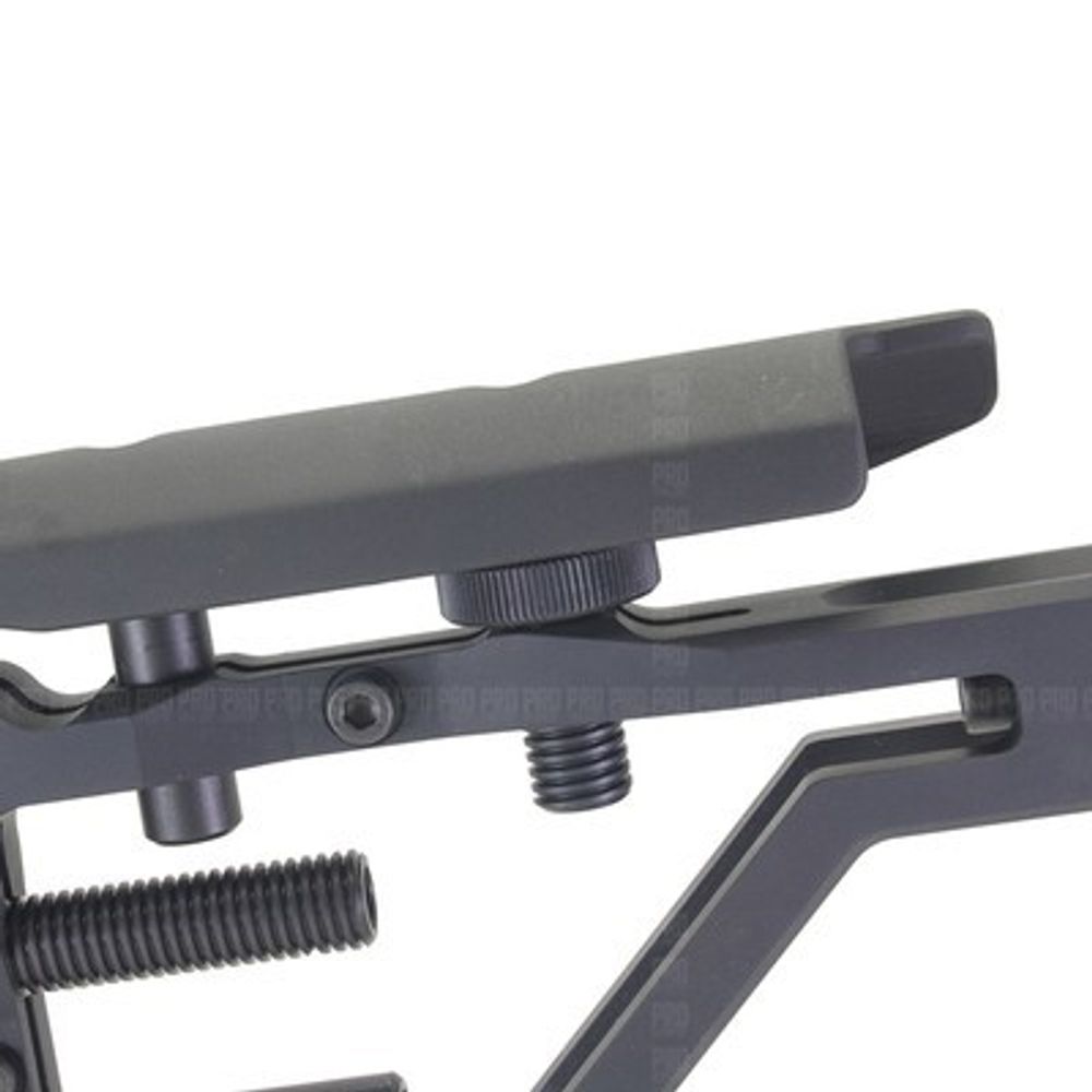 Настраиваемый приклад СВД 2.1, SAG