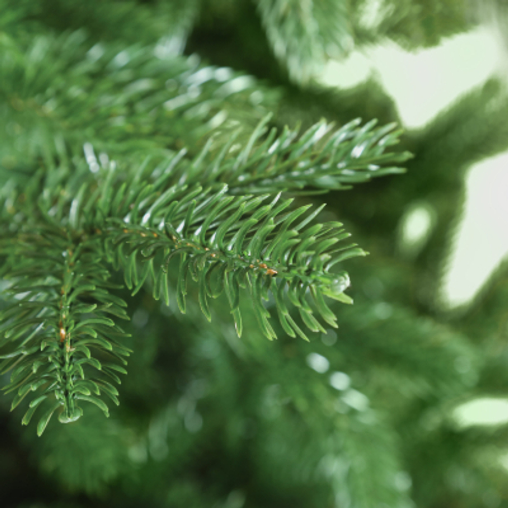 Ель искусственная EveXmas амазонка 210 см