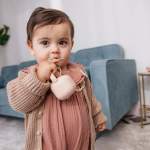 Футляр для пустышек Suavinex Birdies розовый