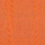Arte Amazone 2 Fierce – 23507