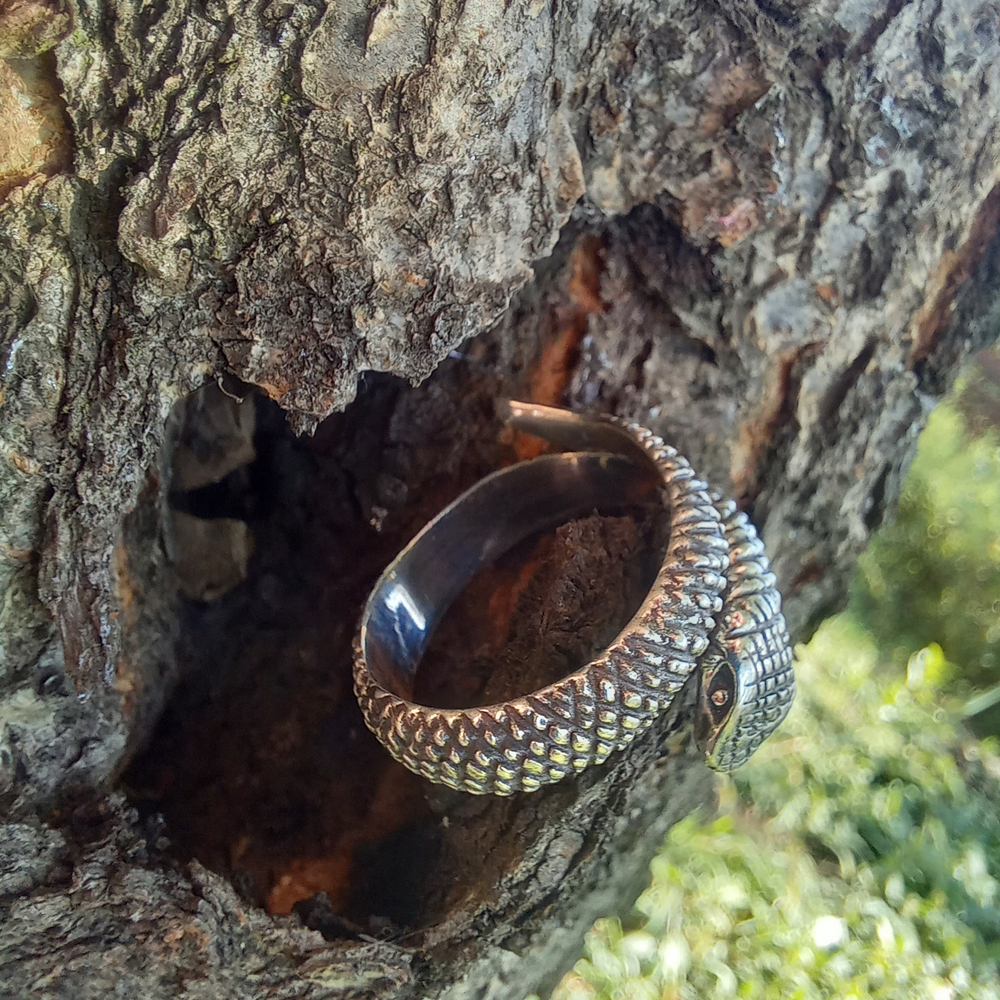 Кольцо ЗМЕЙ, серебро
