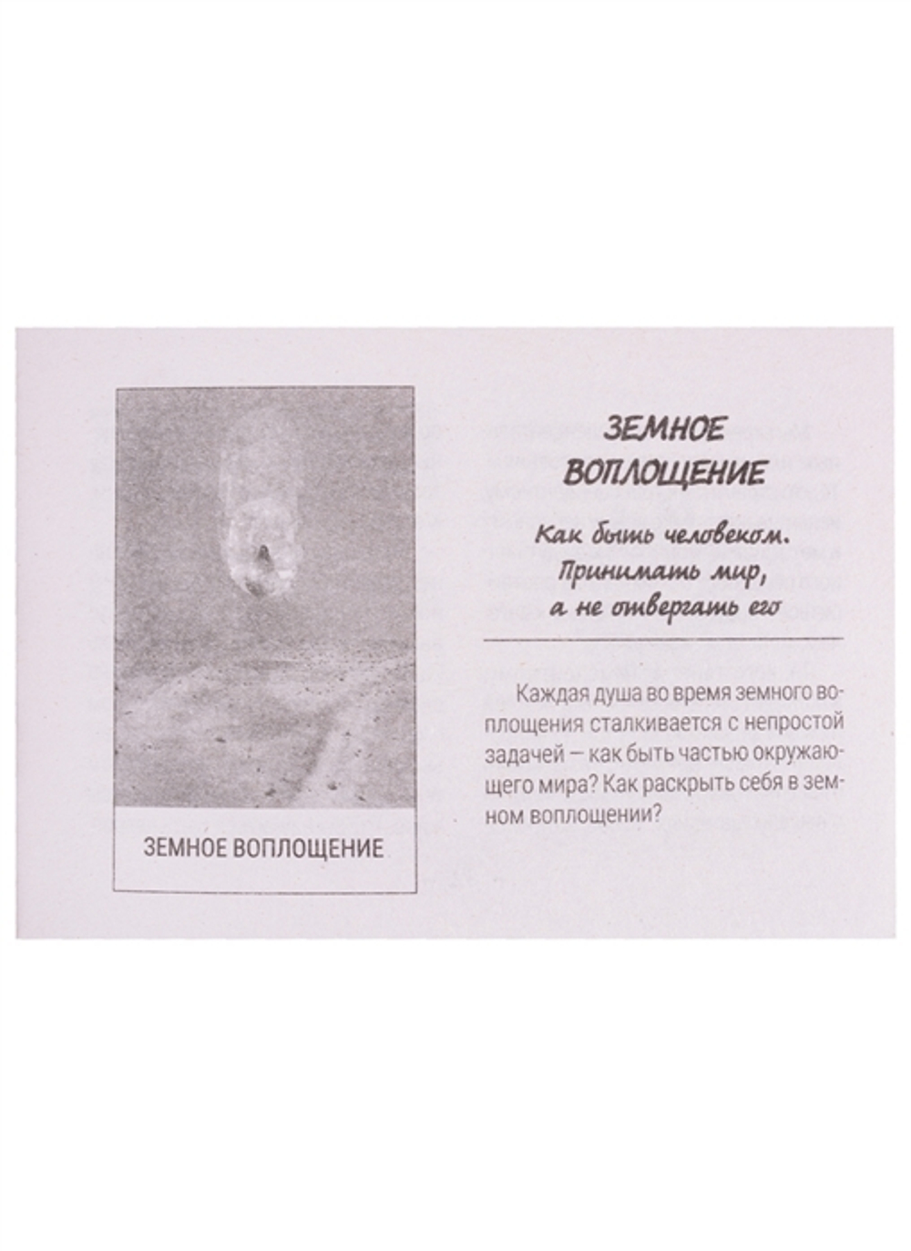 Таро Звёзд. Starseed