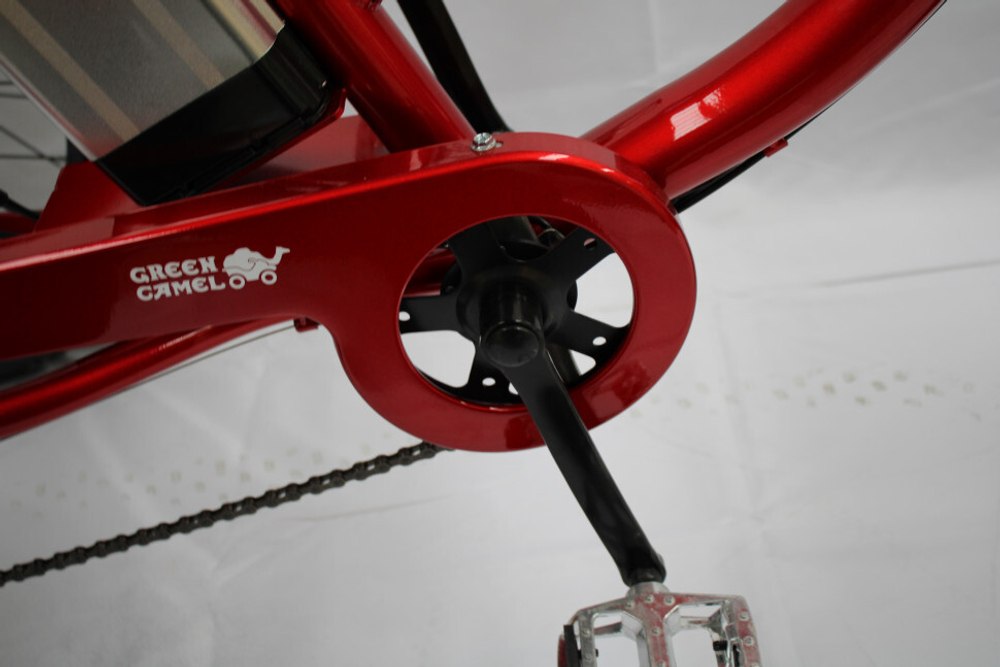 Электровелосипед GreenCamel Трайк-F20