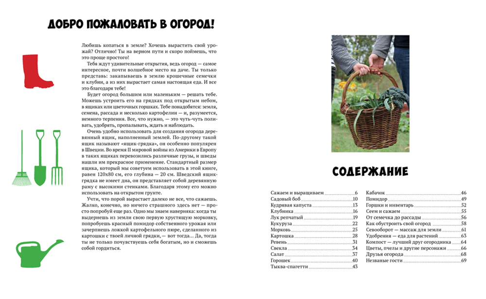 Мой первый огород