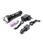 Фонарь ручной &quot;СИБИРСКИЙ СЛЕДОПЫТ-Профи, 1L, zoom, аккум. 220B+12B, 3хААА/60/