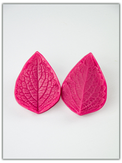 Колеус. Сорт 1