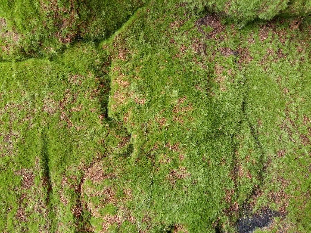 Мох искусственный "Горный" дизайн 18, ширина 1,5м, рулон 2м