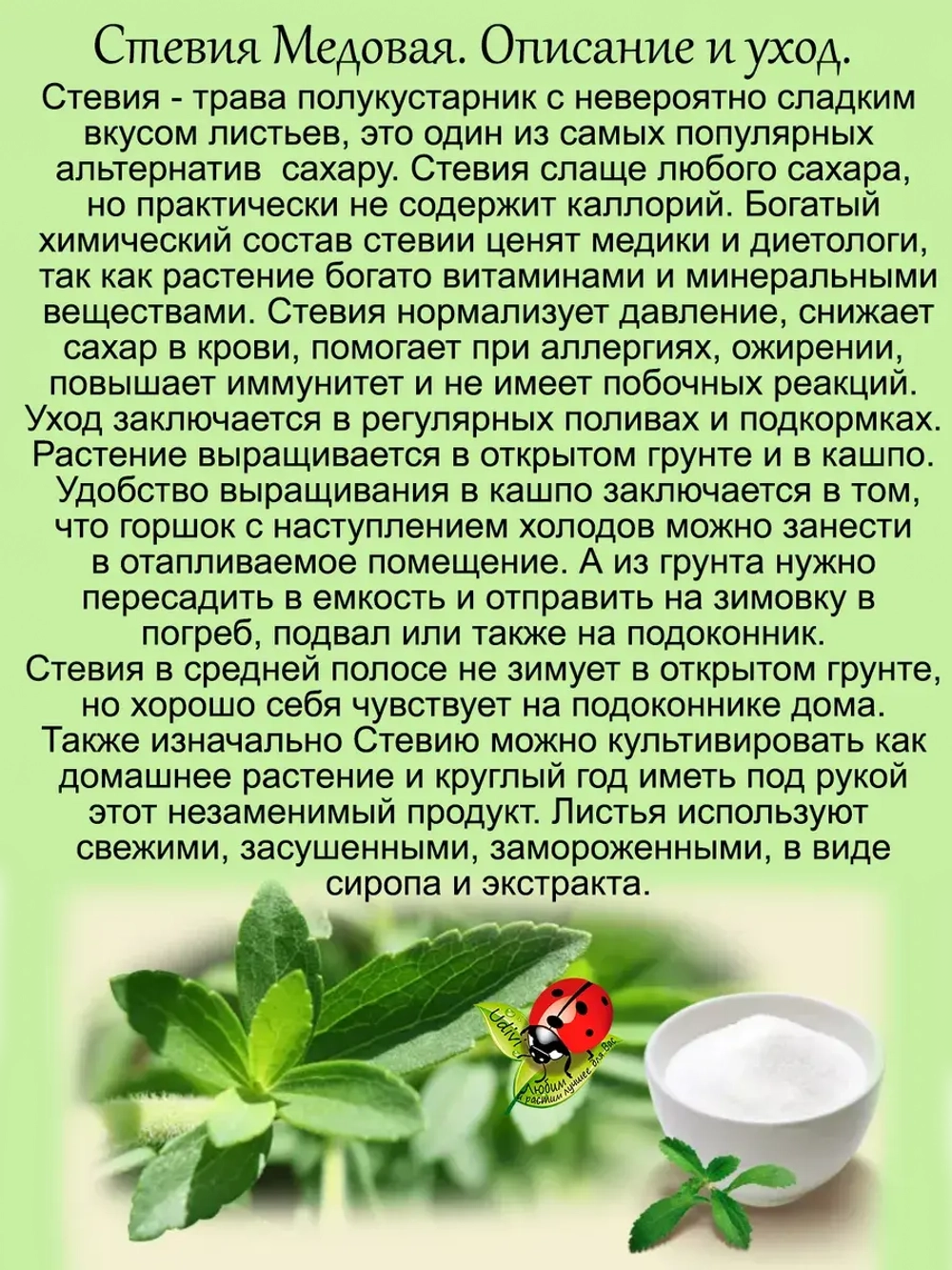 Стевия Медовая природный заменитель сахара