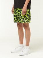 Мужские Шорты Leopard