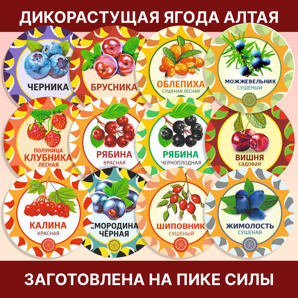 Калина красная. Алтайская "Светлая" ягода сушеная