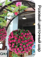 GOHDING Уличный светильник, количество ламп:1шт