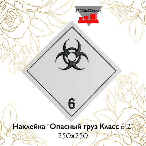 Наклейка "Опасный груз Класс 6.2" 250х250