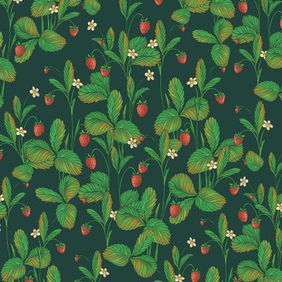 Земляничная поляна