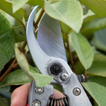 🌸 секатор ARS VS-8XZ — красный — ARS Corporation — 8 марта у Феи