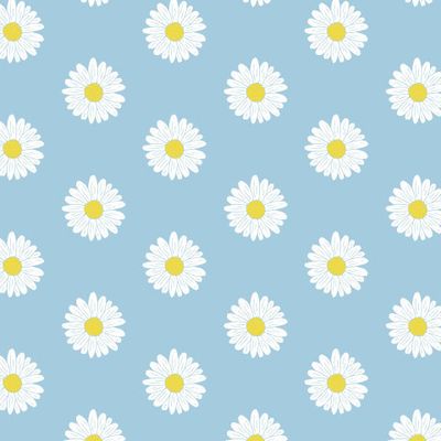 Ромашки на голубом