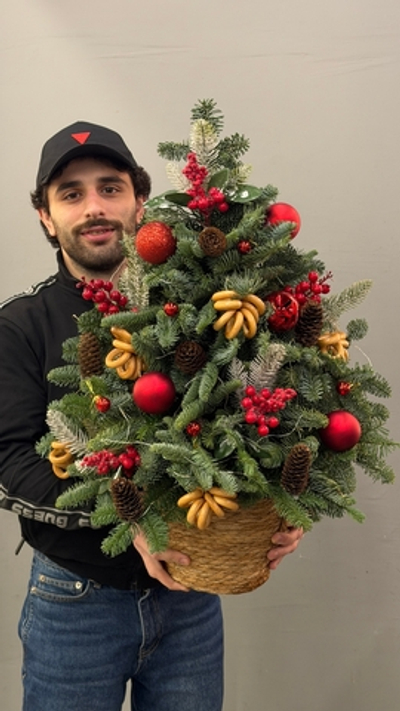 Ёлка в кашпо