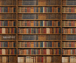 Фотофон "Библиотека" арт. ФФ905-102