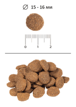 Сухой корм для собак BLITZ ADULT TURKEY & BARLEY ALL BREEDS для взрослых собак всех пород, индейка и ячмень, 2 кг