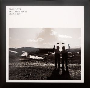 Pink Floyd / The Later Years 1987-2019 (2LP)
